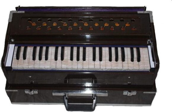 Traveler Peti Baja 2¾ Octave, 440 Hz, Bhajan Kirtan, Mantra Hand Pumped Harmonium - Image 2
