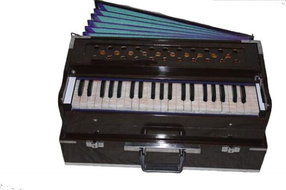 Traveler Peti Baja 2¾ Octave, 440 Hz, Bhajan Kirtan, Mantra Hand Pumped Harmonium - Image 3
